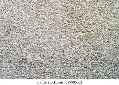 carpeted floor background / carpeted floor