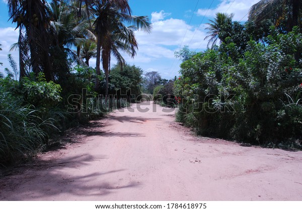 Carpina Pernambuco fonte: image.shutterstock.com Fonte: image.shutterstock.com