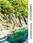 Carp-shaped windsocks called Koinobori in Oboke Gorge, a canyon in the Iya Valley, area of Miyoshi, prefecture of Tokushima, Shikoku region, Japan