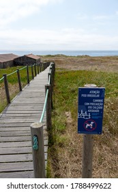 Carreco / Viana Do Castelo / Portugal - July 8, 2020: Walk With Caution, Use Appropriate Footware And No Dogs Allowed Sigh At The Entrance Of The Praia De Paçô Beach.