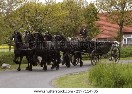 Carriage drive with five horses in hand