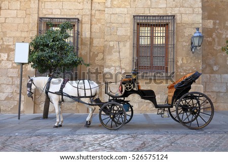 Carriage of horses.Tourist carriage of horses that moves us for the streets of Cordova