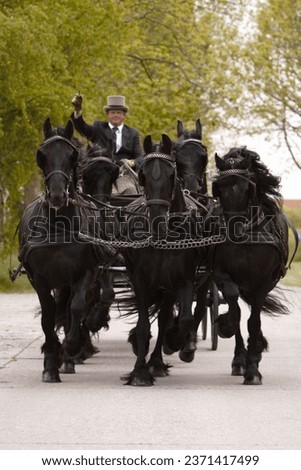 Carriage ride with 5 friesian horses