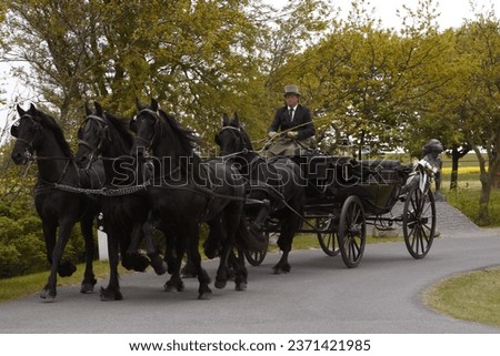 Carriage ride with 5 friesian horses