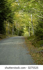 Carriage Road, Acadia National Park, ME