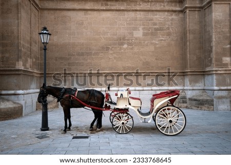 The carriage stop near Palma de Majorca town Cathedral in Spain.
