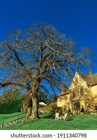 Carrick Hill Vintage House With Garden And Tall Trees In Winter