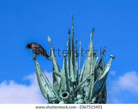 the carrion crow corvus corone a passerine bird of the family corvidae perched on a metal sculpture with blue sky in the background