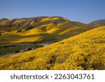 Carrizo Plain National Monument, California