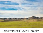 Carrizo Plain National Monument, California