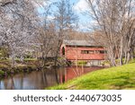 Carroll Creek Covered Bridge during cherry blossom season in the  Baker Park. Frederick. Maryland