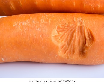 Carrot Was Bitten By Rat On White Background. Teeth Marks On Carrot. Bite Out Of A Fresh Carrot.