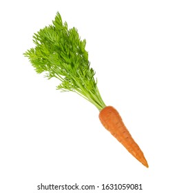 Carrot Green Leaves Isolated On White Stock Photo 1631059081 | Shutterstock