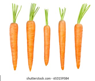 Carrot Isolated