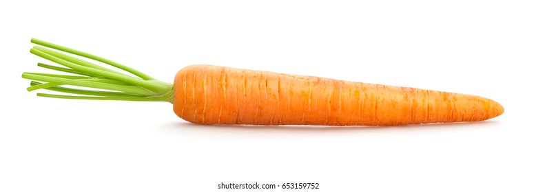 Carrot Isolated