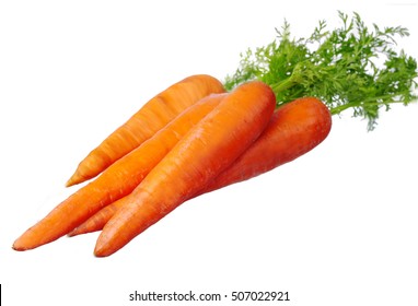 Carrot Isolated On White