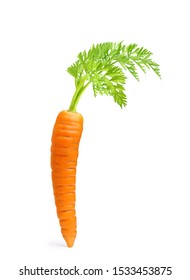 Carrot Isolated On White Background