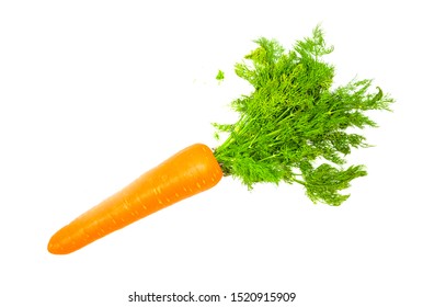 Carrot With Their Peel And Glossy Leaves.