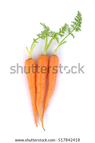 Carrot vegetable with leaves isolated on white background cutout

