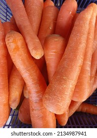 Carrot Is A Vegetable Plant That Has Many Uses For Public Health Services In The World