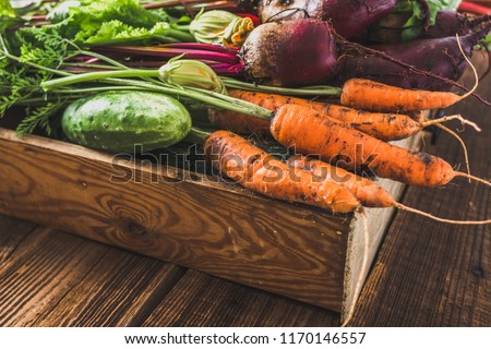Carrots and assorted vegetable harvest, fresh organic vegetables, garden produce on farmer market. Wooden box on table.
