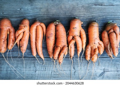 Carrots With Deformed Twisted Forked Roots Distorted And Crooked  - Versatility, Diversity, Equality And Body-positive Concept