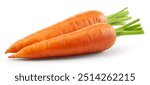 Carrots isolated. Carrot on white background. Two carrots with green leaves. With clipping path. Full depth of field.