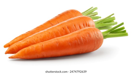 Carrots isolated. Carrot on white background. Three carrots with green leaves. With clipping path. Full depth of field.