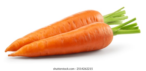 Carrots isolated. Carrot on white background. Two carrots with green leaves. With clipping path. Full depth of field.