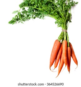 Carrots On White Background