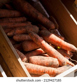 Carrots -  Sweet Orange Root Vegetable For Sell In The Farm Shop In Wooden Box.