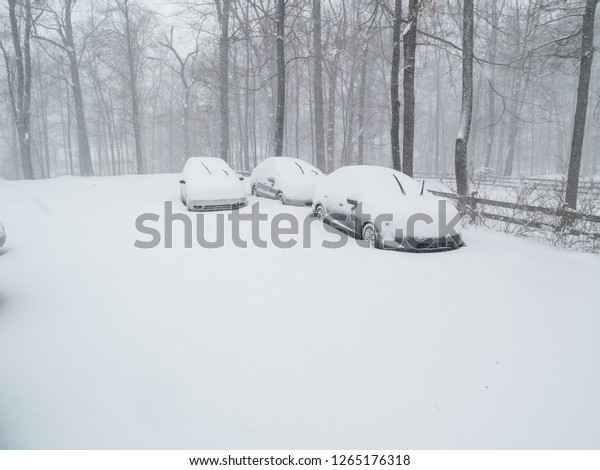 cars in the\
backyard during the snow\
storm