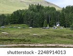 Cars and camper vans parked in a car park in Glen Coe valley in the Scottish Highlands, Glencoe, Argyll, Scotland