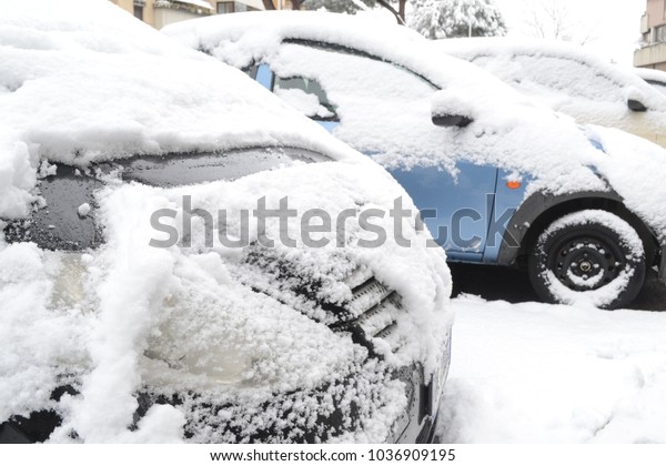 cars covered in\
snow