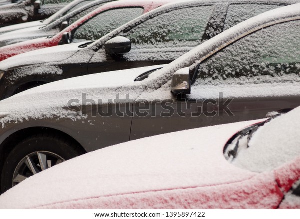 Cars
covered with snow on the street. Snow-covered cars parked in a row
next to each other. Cars on the street in
winter.