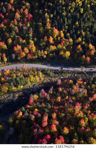 Cars drive\
through fall color in New\
England