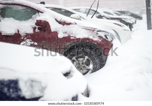 Cars filled by snow at\
blizzard