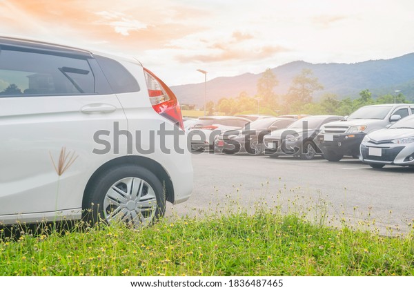 Cars parking in large asphalt parking lot with\
grass flower, trees, sky, mountain background in park. Outdoor\
parking lot with fresh ozone, green environment of transportation\
and nature concept\
