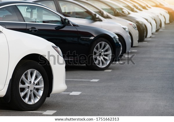 Cars in a row. Used car\
sales