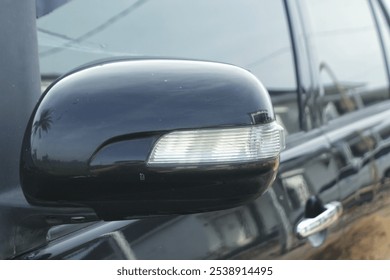 The car's side mirror reflects a palm tree and the sky. - Powered by Shutterstock