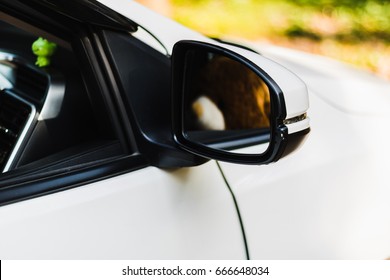 TRIUMPH TR4-6 Wide Angle Rear View Car Mirror Clip On