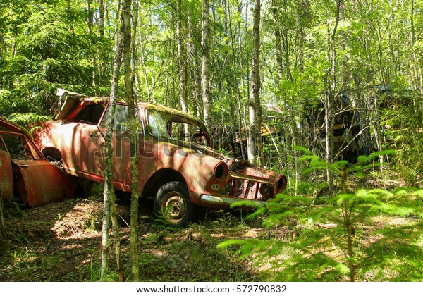 Cars turned into wrecks deep in swedish\
forests. The nature is slowly taking control.\

