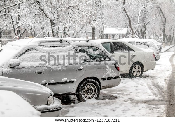 Cars under snow in the\
yard in the city