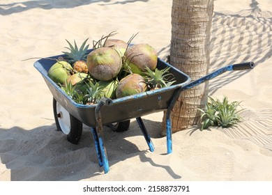 a cart carrying a coconut