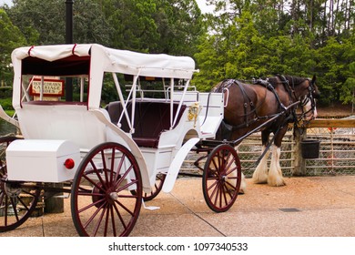 Cart Horse And Carriage