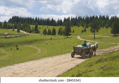 Cart pulled by horses on a mountain road.Location: Apuseni Mountains,Transylvania,Romania.