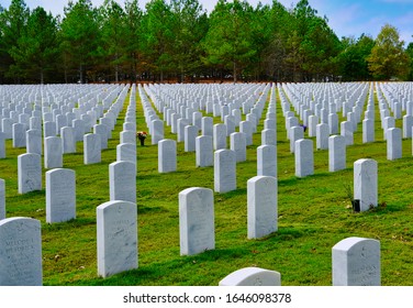 86 National Heroes Acre Images, Stock Photos & Vectors | Shutterstock