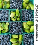 Cartons of blueberries and mini cucumbers create a checker board pattern at a state farmers market in North Carolina