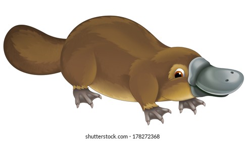 platypus cartoon images