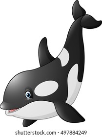 Orca Whale Underwater Images, Stock Photos & Vectors | Shutterstock